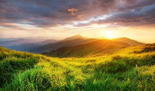 iStock 11